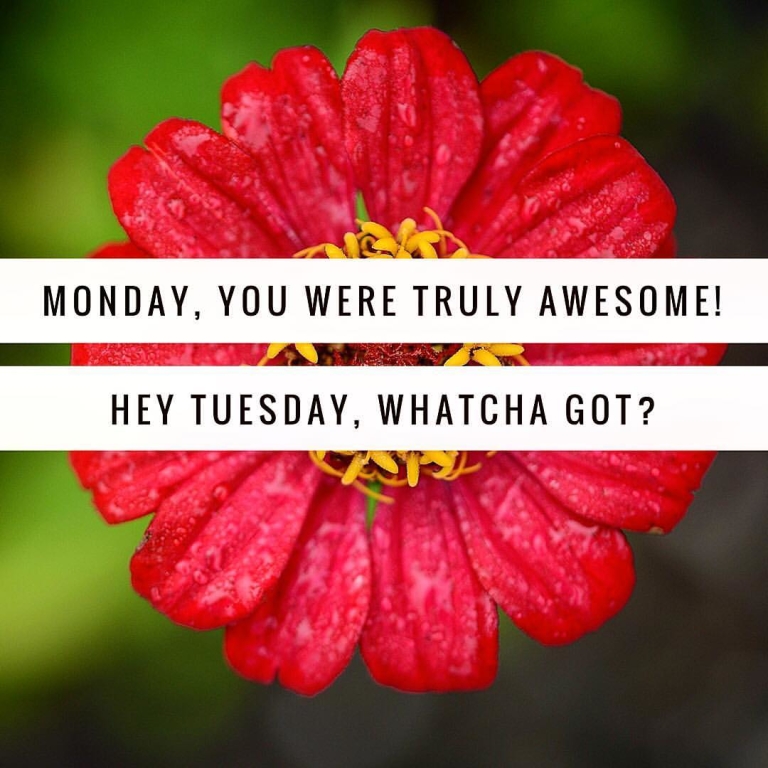 Mondays are awesome